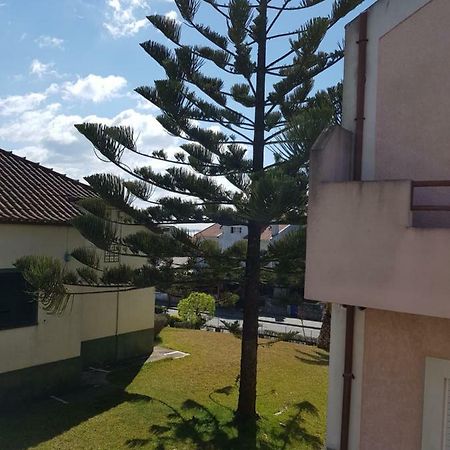 Mikes Beach Apartment Torreira Kültér fotó